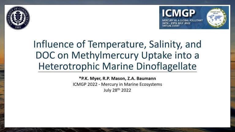 Influence of Temperature, Salinity, and DOC on Methylmercury Uptake into a Heterotrophic Marine Dinoflagellate